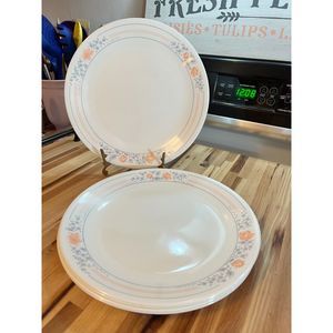Corelle Apricot Grove Dishes